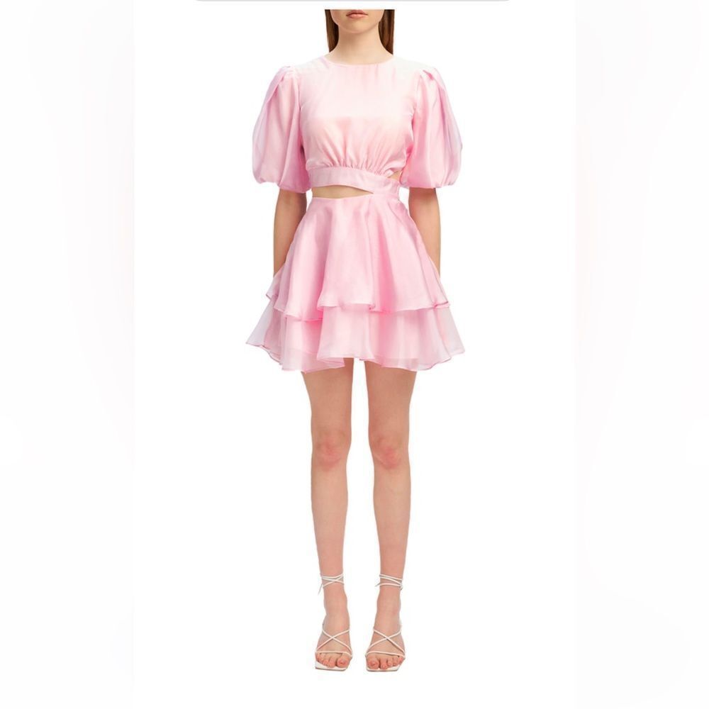 Bardot Enya Organza Mini Dress